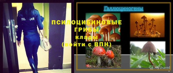 твердый Нефтегорск