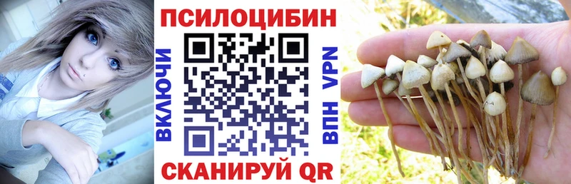 Псилоцибиновые грибы мицелий где найти наркотики Урень